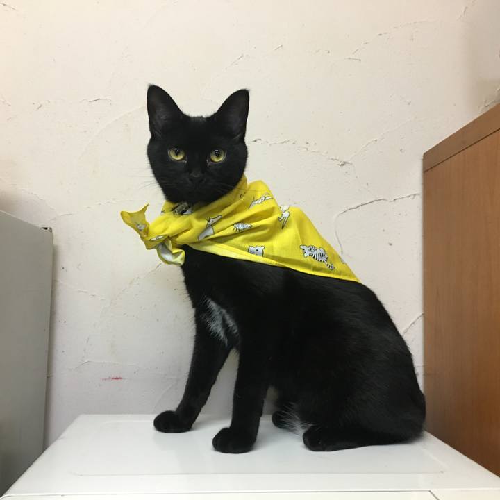 773ab25c 029f 45c5 a7c7 08bcb115d167