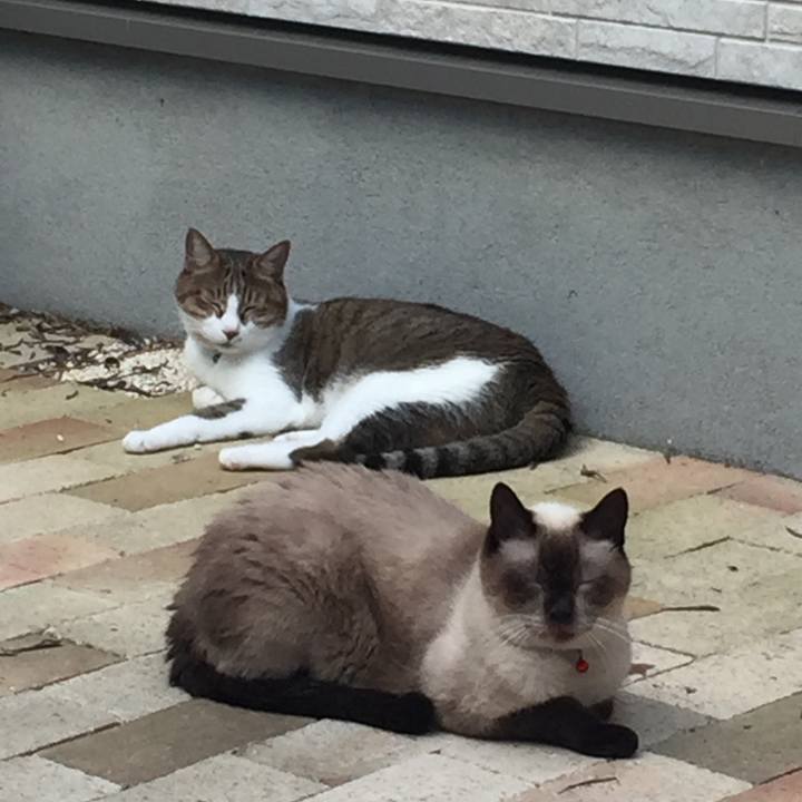 773adb32 4b16 43b5 93e7 231b64fa2c5f