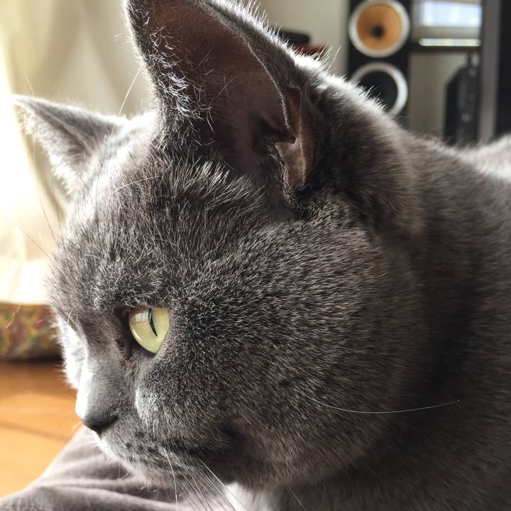 773ba245 5d21 47a1 b644 a22ba2f03597