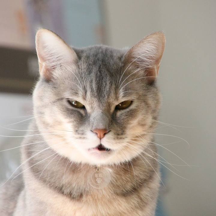 773c0164 b7aa 432a a41a d8a565cc1b98