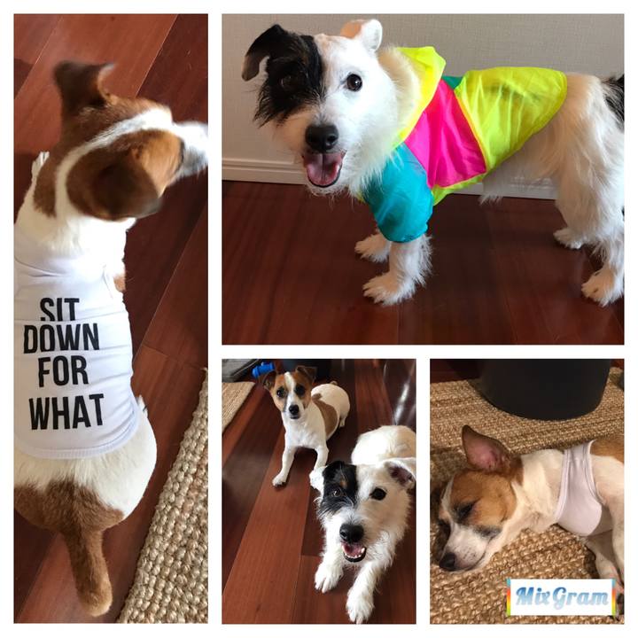 773c0b1a a8f5 4a5b 8f5c 07b81ce7271f