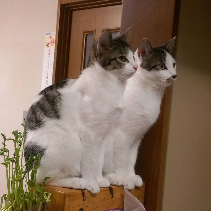 773c69d4 fd21 413a a210 f60e1d41fe87