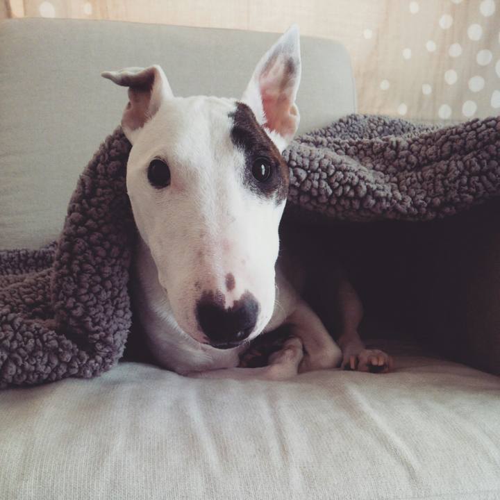 773c6e02 f9f6 4512 8ed9 21e026aa417f