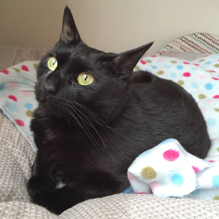 773c9418 8f16 4ef8 8a0f 6debef910b0a