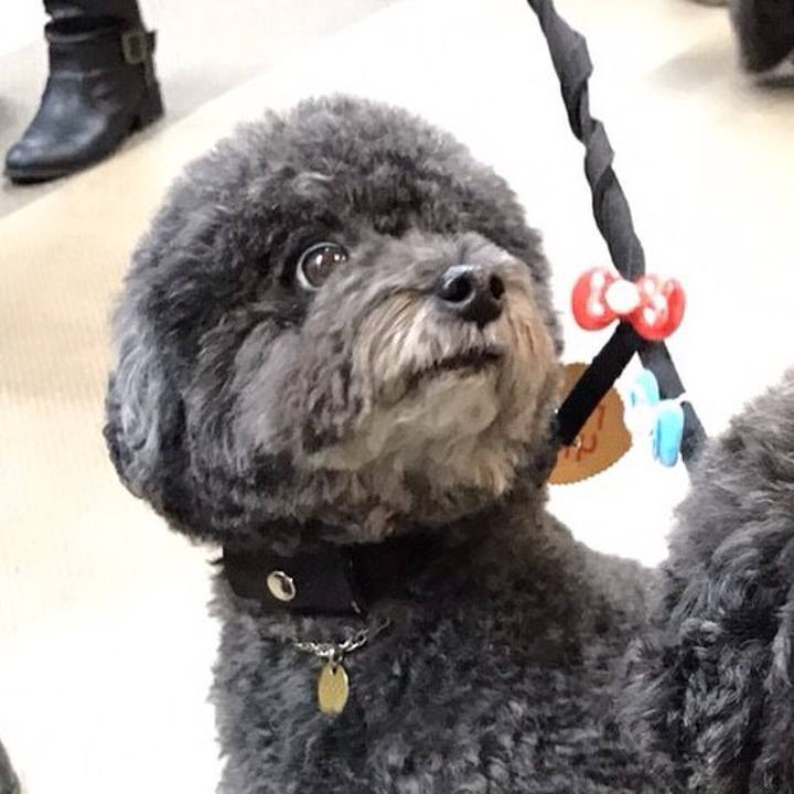 773caef3 398f 4389 a0bb e1f84490f497