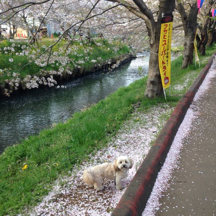 773d8e26 18b7 4ea0 9fdd 88eada42457c