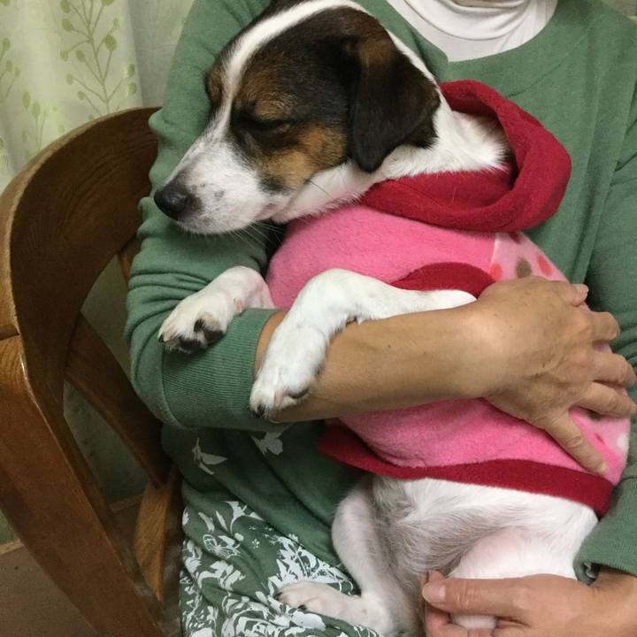 773d9b9c 6932 4393 bc0a d8783ee4d828