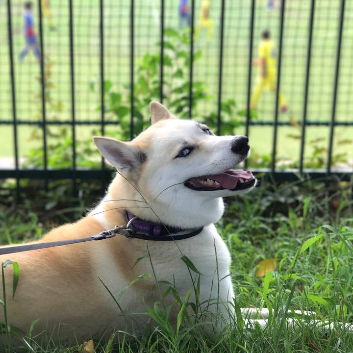 773ddca8 9d93 4028 ab35 2d04cc781a82