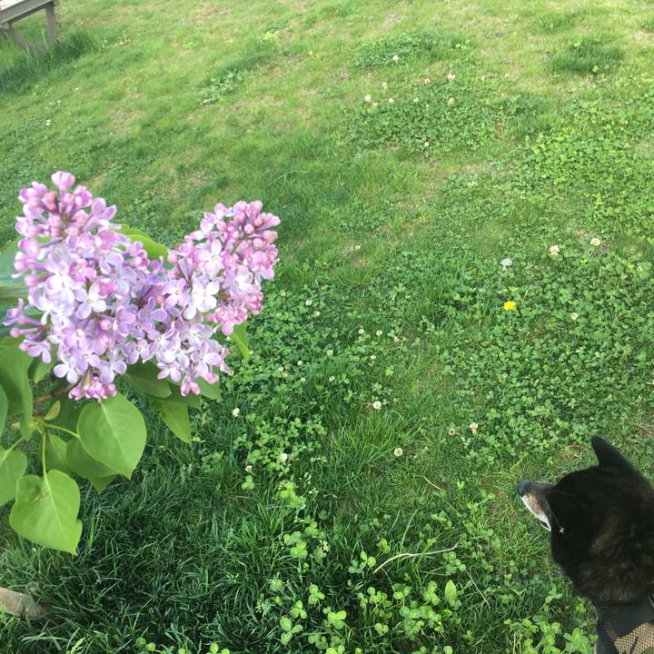 773e0329 1c91 489f 9738 5e10dfa3ef7c