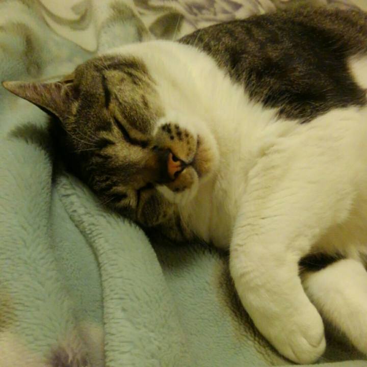 773e9058 0171 4f76 8762 ebac49bdd2aa