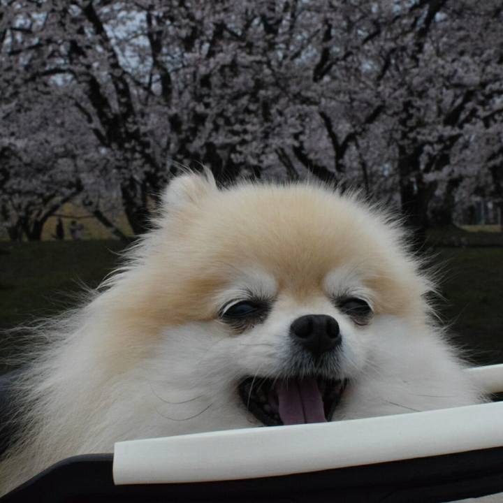 773ebf1b 8769 4eea 8cb2 8dc3f22e46bc