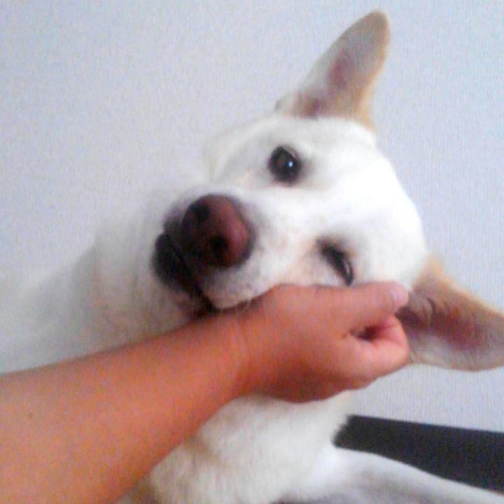 773fa0c0 2b09 4f55 9afd 985a9e4b9ea1