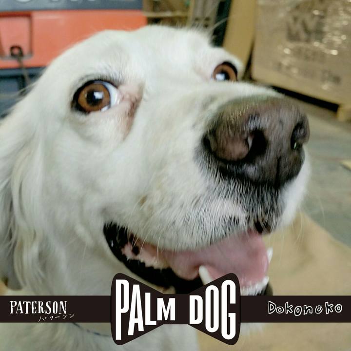 773feed6 3343 42b9 9dcb a07bd00771cc