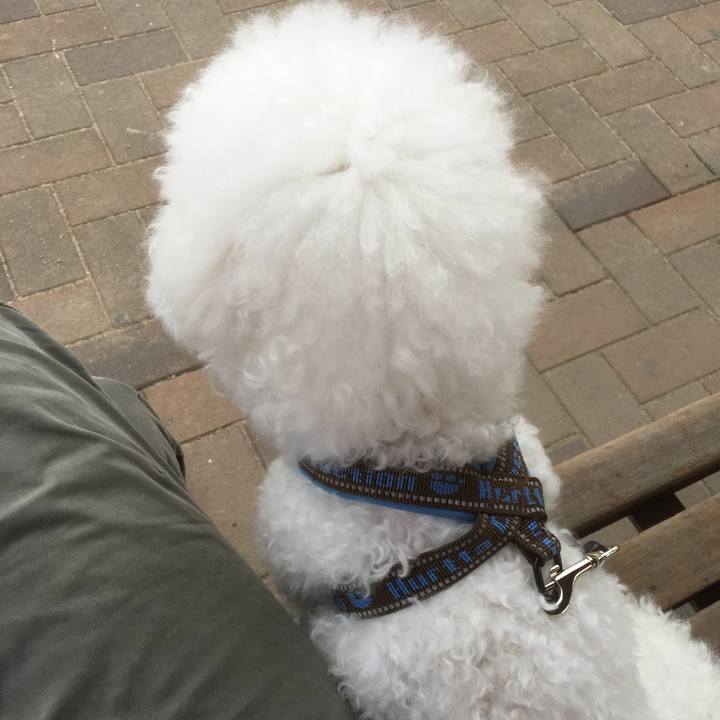 773ff741 b1a6 49dd 9cb3 cfa546a91791