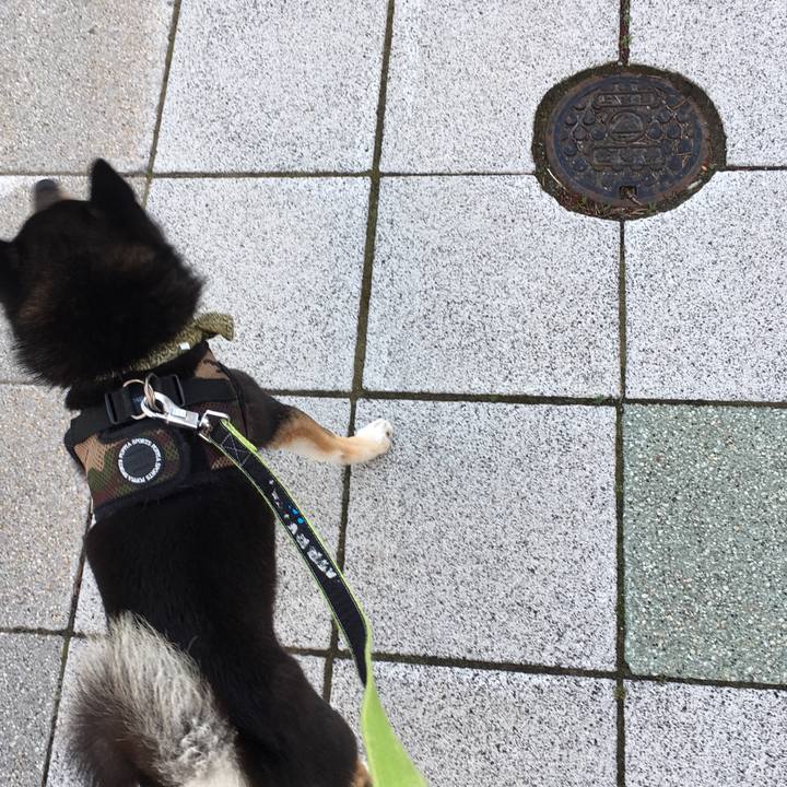 77403801 2280 47d1 982f 6eaf908ef3eb