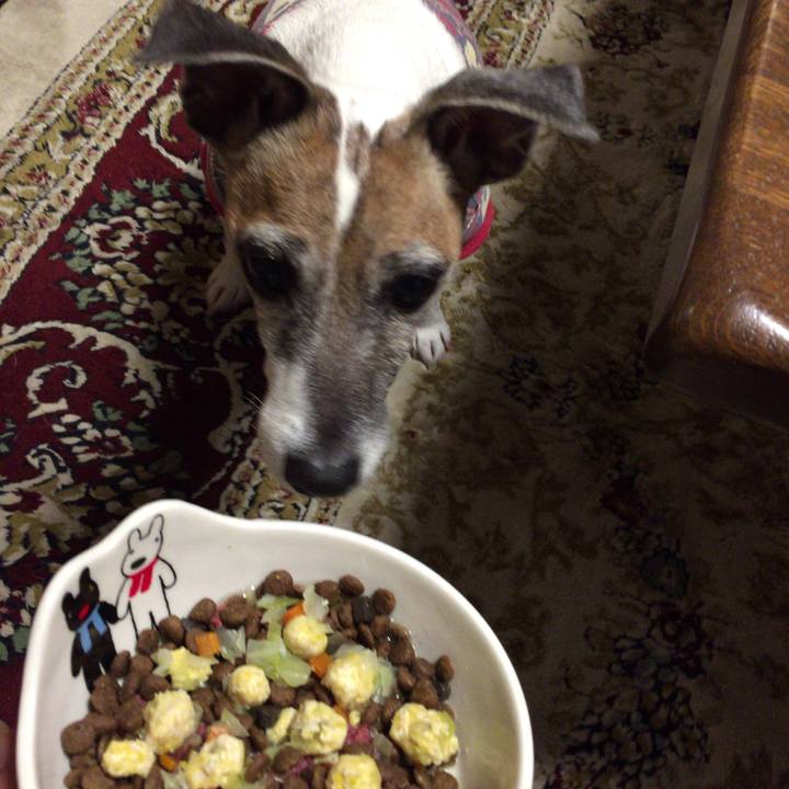 774074df f910 4a72 9424 4fa16894caa6