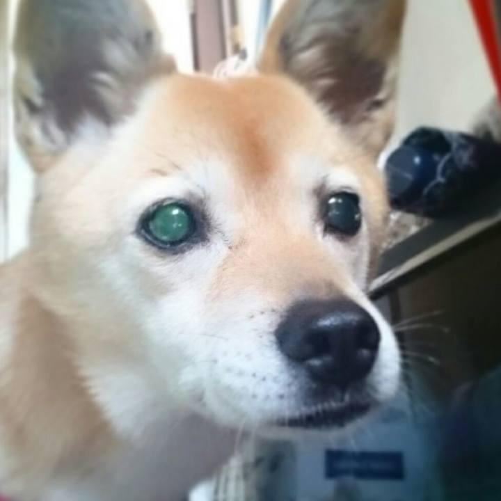 77414a17 3553 4d58 a79a 4b34a4e723bc