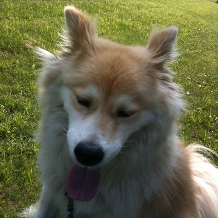 77415751 1021 4803 b6ee 861dd101192f