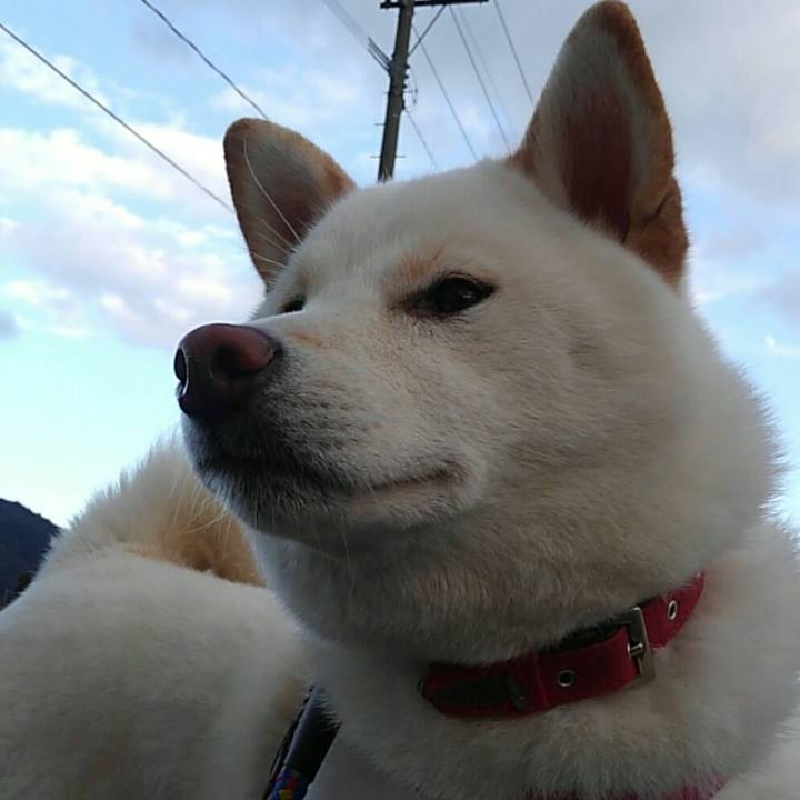 77420016 7ef8 4c99 bfda 0ad3a3f2217f