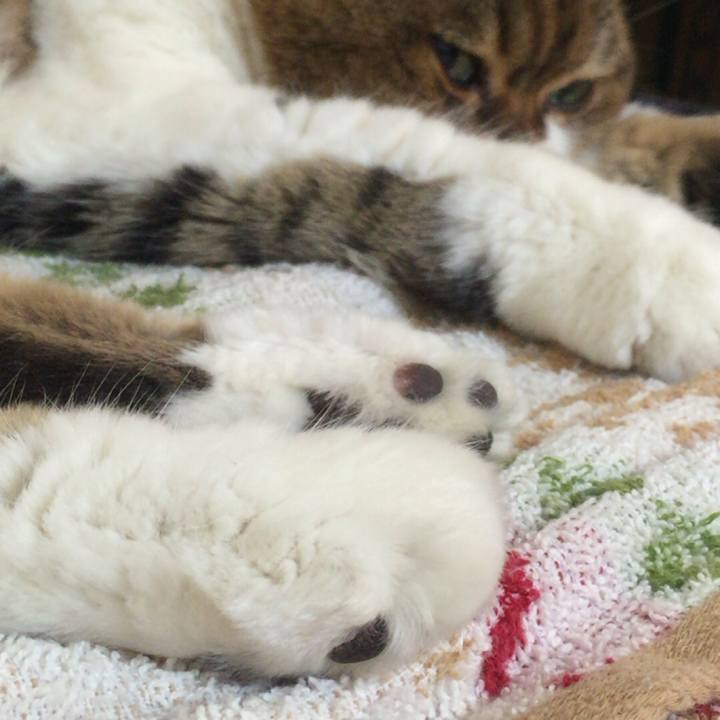 77422a62 8c13 4019 bddf 3819d792ad26