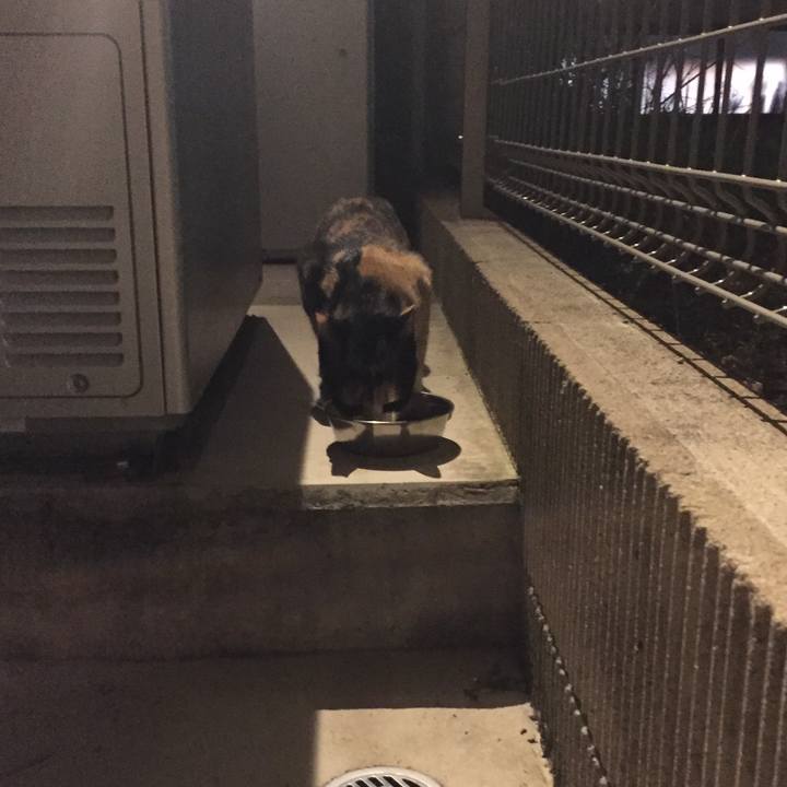 77427a37 4968 43d6 9414 7e86c43c08da