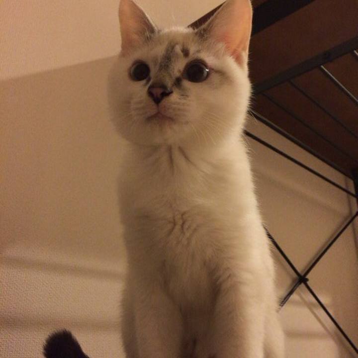 77428e58 d270 42ef af9c 45f8a8c6e802