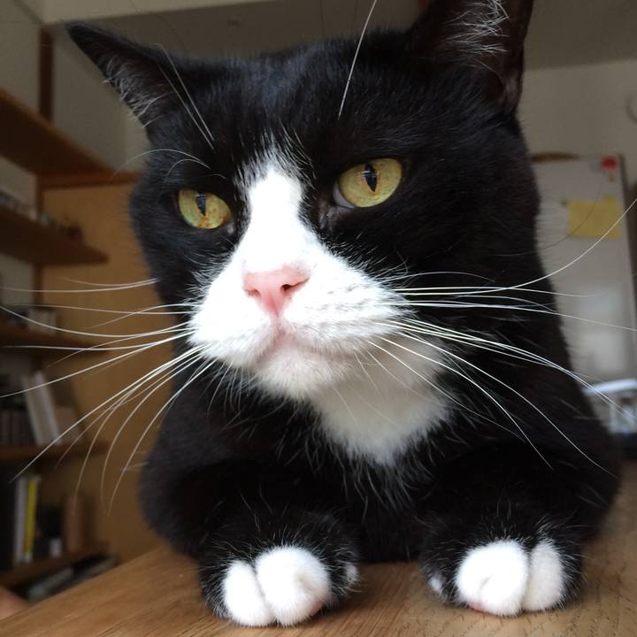 7742ca56 f021 42b9 9c98 5558cc83269f