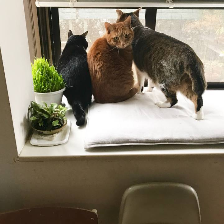 774318c6 7f9f 4894 925b ef4baae0c9ce