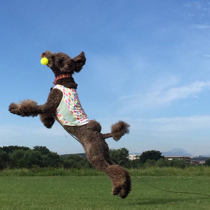 77439bd9 96e2 4d31 9755 b7e96a46c618