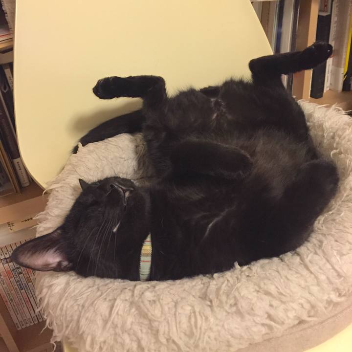 7743b81d 7e64 4940 b790 f05b68b5853a