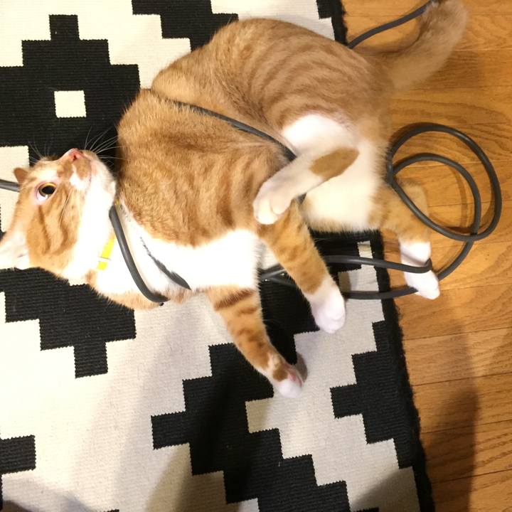 7743c4b4 7d8f 4aa5 9ab3 80a12f084334