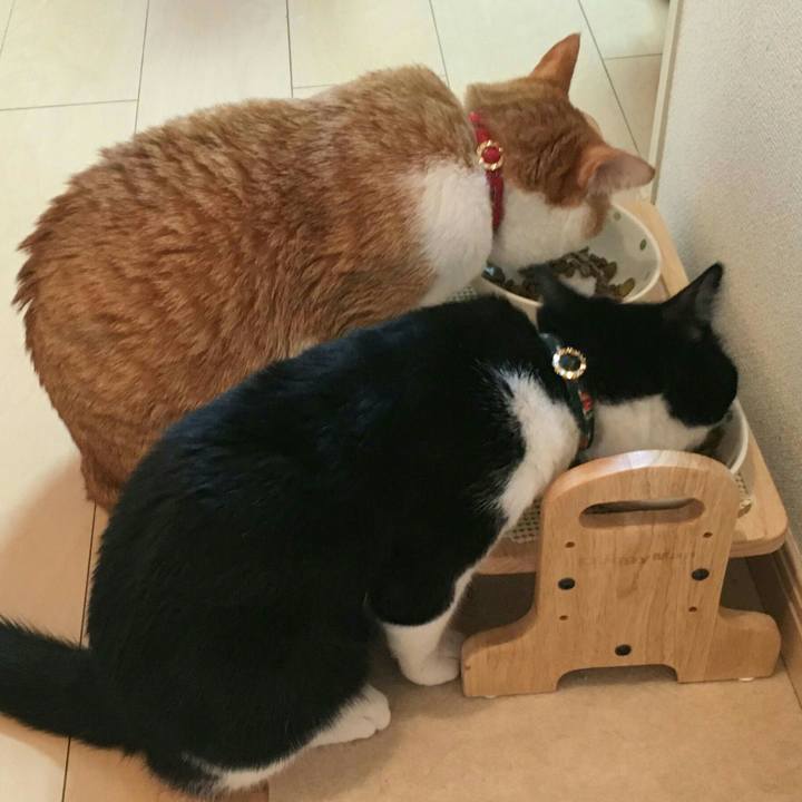 7744278c 2b7b 4fcb 8a2b 384f594068df