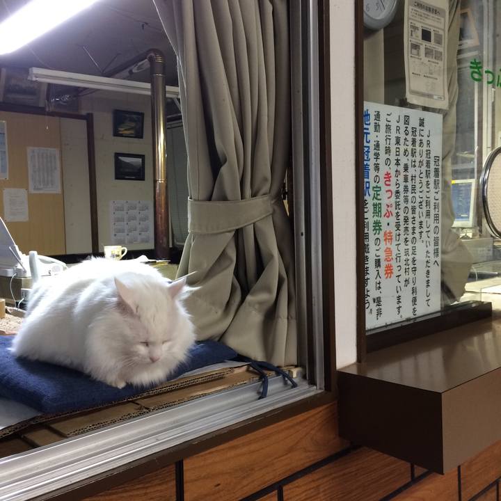 77443cc4 f1b9 4ba7 bc44 162108bd3e2f