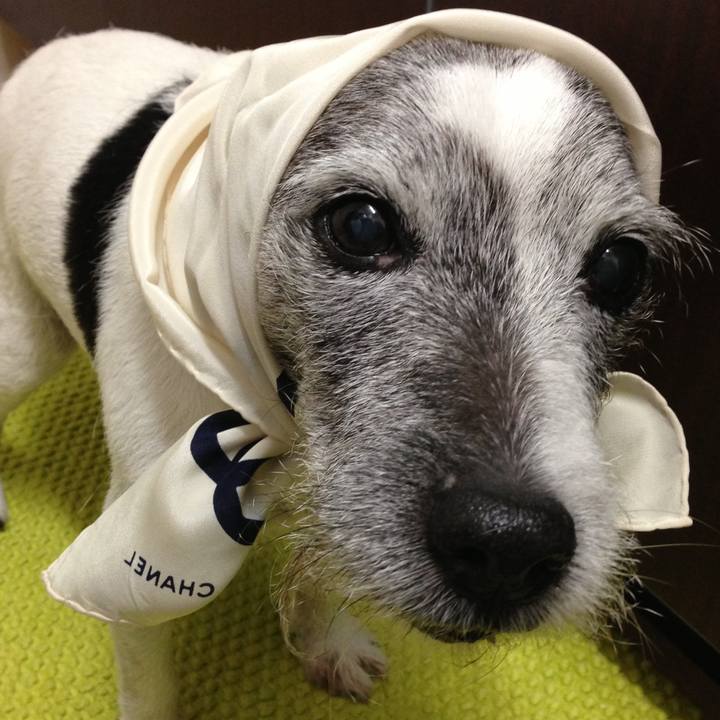 77448290 9965 4589 8476 2b9d8d90a806