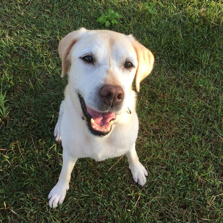 77449c82 b24b 4694 b148 7480c9638fbe