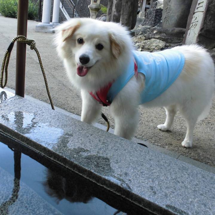 7744b334 40bc 40c9 b801 62fbda4262d3