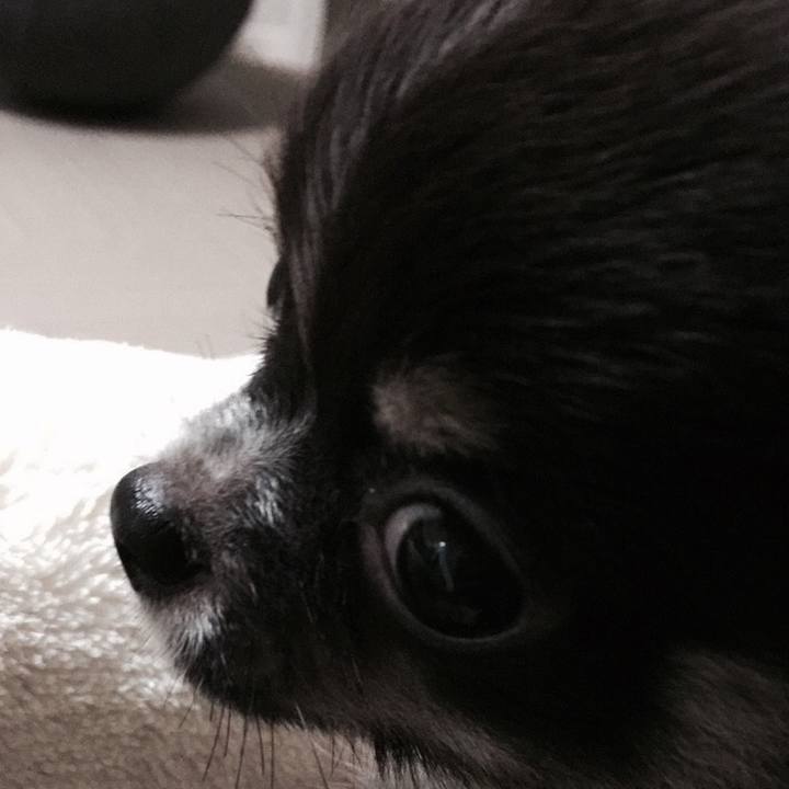 7744c252 0a0e 4e21 8d58 1b60da22bcd7