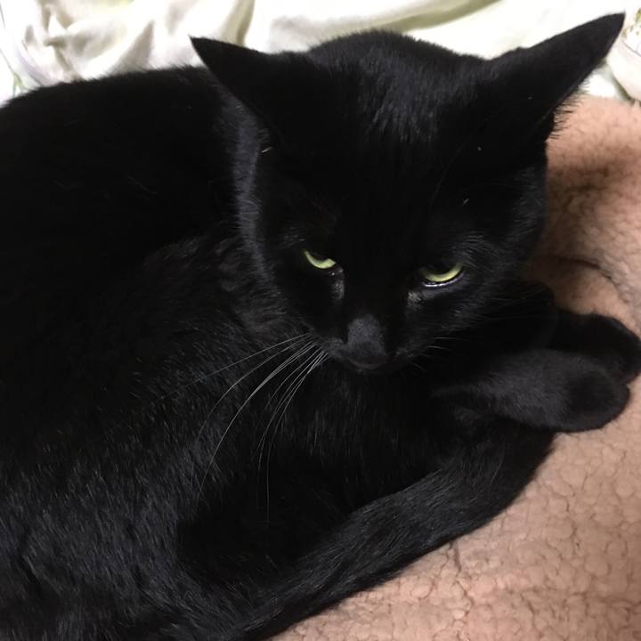 7744c282 6314 4055 a639 756af199e241