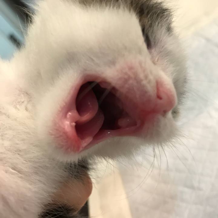 7744c552 fa7f 43ab ad35 a32a1d150abb