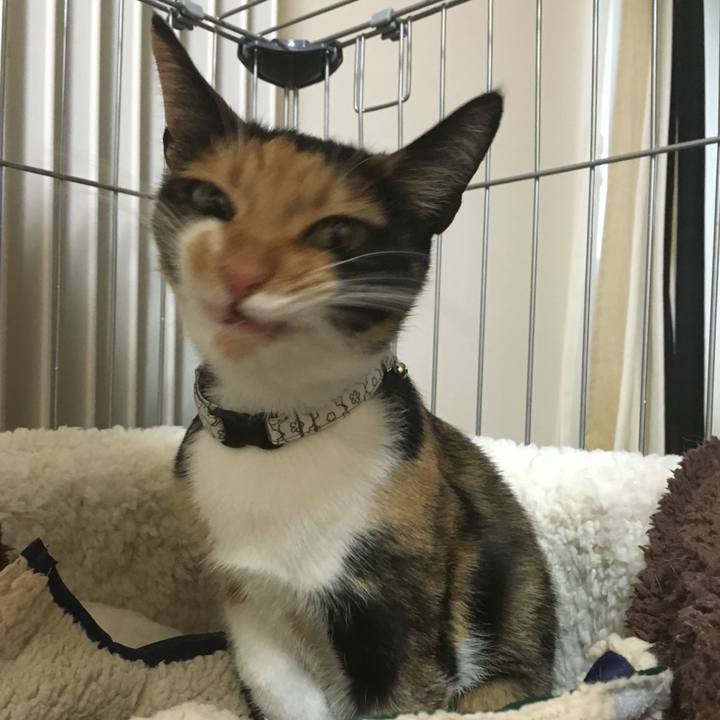 77458987 c7d4 4d59 9ef5 2aa2da55a15a