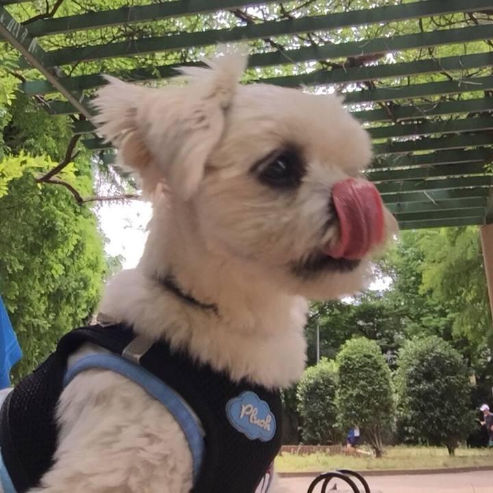 77459f70 3fc3 4838 a7f4 03ebd959c8fd