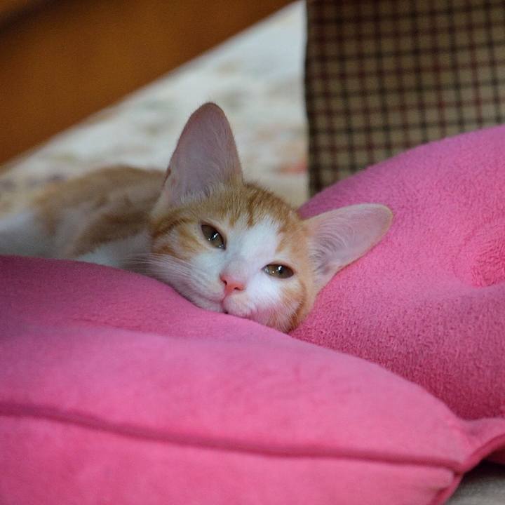 7745dbee 3427 49bd 8a83 2f24618155a5