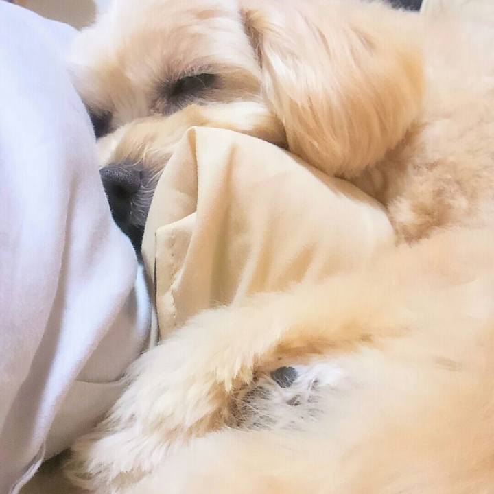 7745ed95 845e 42ee a694 b4d534cbb487