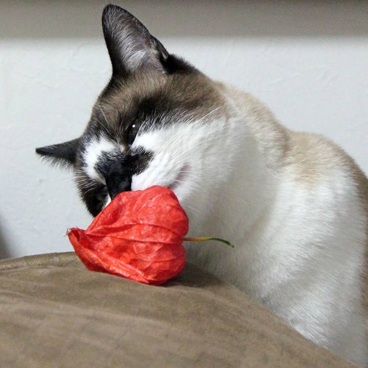 77461b31 f652 4c41 8f01 87235f3fb725