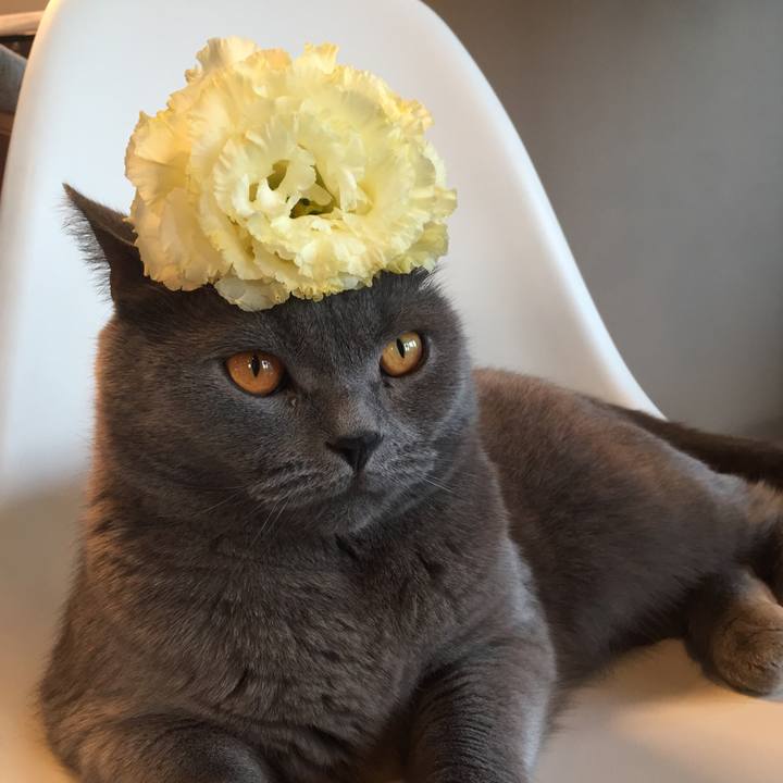 77470759 43ce 4578 a395 619c083a7824