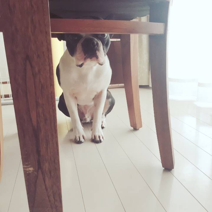 77474b8a 3a8b 4ca9 b589 327154243f94