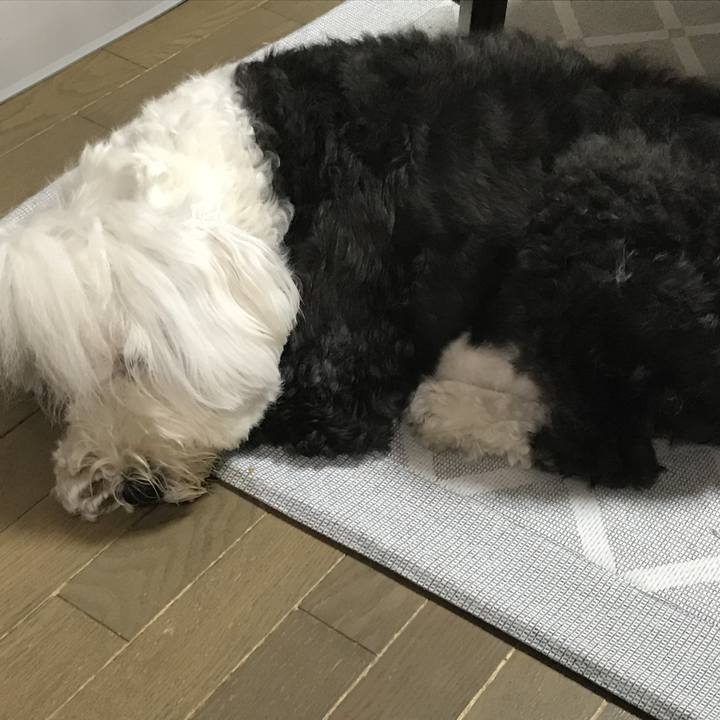 7747556c 5b06 4b5b 9895 743b9c637e59