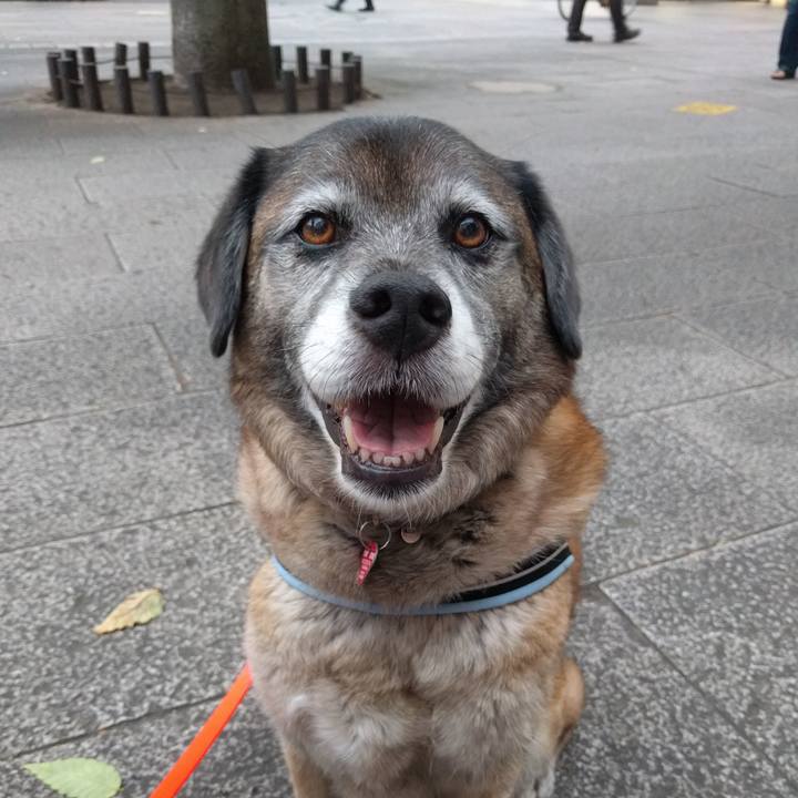 7747a1d2 590a 4016 b309 78377443db7c