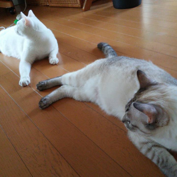 7748b7ea 4bd9 4d4a 8801 17881b3e29ca