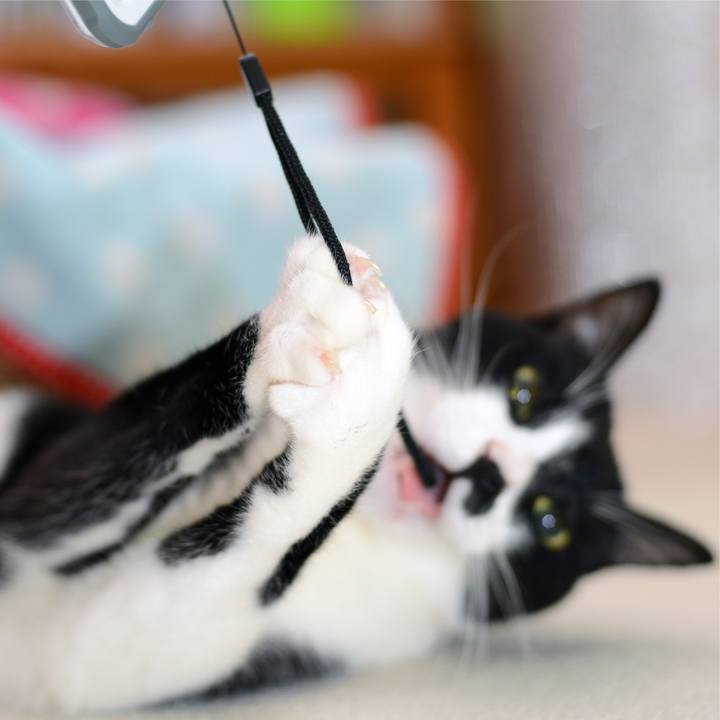 7748cb7b 14c7 4742 b8fc fed3ef4c3045